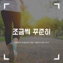 운동습관 | 라텔씨의 운동습관 만들기 챌린지 완주 후기