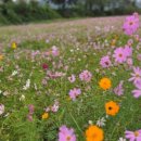 호텔가조 이미지