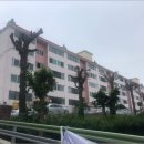 행하길 8 이미지