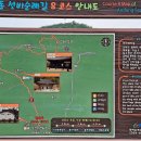 선비 코스 이미지