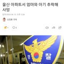 울산 아파트서 엄마와 아기 추락해 사망 이미지