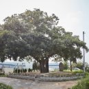 영주 석교리 석조여래입상 이미지