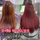 카오루헤어 이미지