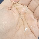 용담초등학교 | 오벨랑 두피미스트 - 천연 성분으로 두피를 깨끗하