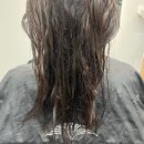 오위드 | 고양 장항동 레이어드컷 맛집 오위드 헤어 (하린 실장님)