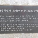 장흥군민회관 이미지