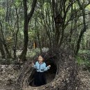 동화 같은 제주도 곶자왈 산양큰엉곶 제주 아이와 가볼만한곳