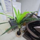 대성공인중개사사무소 앞 이미지