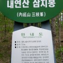 쌍용늘푸른약국 이미지