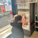 봉평 전통시장 화장실 | [맛집] 봉평전통재래시장, 월이메밀닭강정,남촌막국수...끼촬영지, 임영웅, 임영웅앉은자리, 내돈내산후기