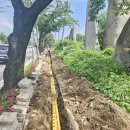 선덕여고앞 이미지