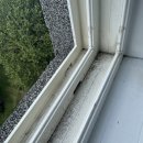 시흥대로101길 | 서울 금천구 독산동 예향 9평 투룸 이사청소 후기