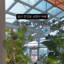 용산-이촌-496 | 용산 한강뷰 브런치카페 어반플랜트 한강대교점 내돈내산 리뷰
