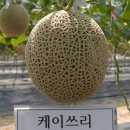케이쓰리