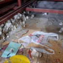 동상세탁 이미지