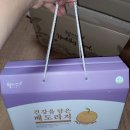 웰시스 이미지