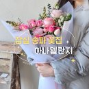 송파 꽃집 하나멜란지 대형 꽃다발 후기