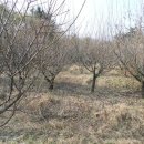 구암동420 이미지