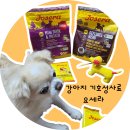 땡큐독 | [요세라독 폴트리메뉴 찐 리뷰] 강아지사료 기호성 갑! 망고가 먹어봄.