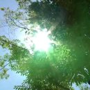 특수고기 이미지