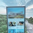 용주면_성산리(배출하우스)_1 | [제주도] 일출 명소 모음 BEST4 추천 주관적인 경험을 바탕으로 적어봤어요.