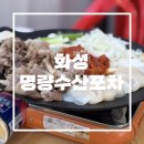 석화유치원 | 화성 능동 싱싱한 해산물이 가득한 ‘명량수산포차’