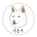 구제샾 이미지