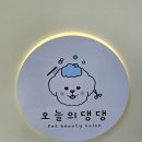 오늘의 댕댕 이미지