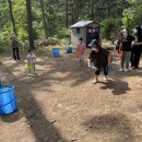 숲체험 리틀 포레스트 이미지