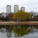 신천아파트 앞 이미지