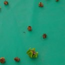 정열농장 이미지