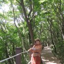 생이소리 이미지