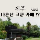 중문1-2소교량 | 제주 서귀포 커마카세 카페 이국적인 야외 정원이 아름다운 중문별장