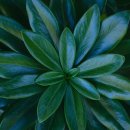 복현2동행정복지센터 이미지