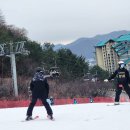 명성키즈스쿨 태권도장 | 곤지암 스키강습 아랑 초보 후기