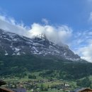 모노텔 | wedding16-3. 유럽 신혼여행 스위스 숙소 정하기(그린델발트,인터라켄,루체른)