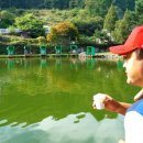 세월낚시터 이미지