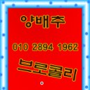 천호농장 이미지