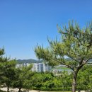 장미도시락 이미지