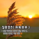 질풍경초