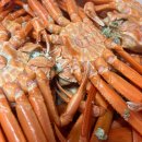 동해 싱싱수산 이미지