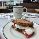 W호텔 | [26/3/20] 또 쓰는 아부다비 W호텔 후기