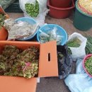 합천왕후시장 이미지