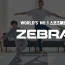 창원주짓수하이브