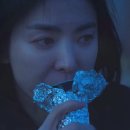서초김밥 이미지