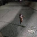 해운펜션 이미지