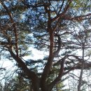 어은경로당 이미지