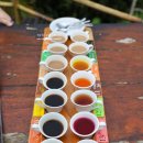 둥지농장2 | 발리 우기 여행 가볼만한곳 우붓 커피 농장 커피플랜트 2곳 비교