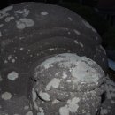 병산리 돌거북상 이미지