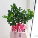 의료원로 이미지